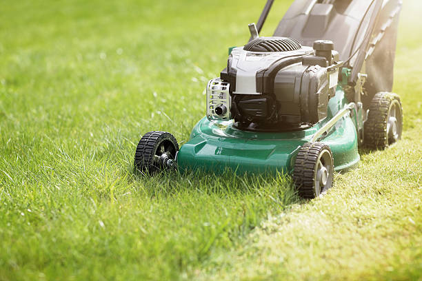 green grass mowed by Stamford Lawn Care Services in Stamford, CT