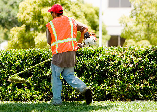 Lawn Care Services Stamford, CT lawn mowing contractor carefully cutting grasses 